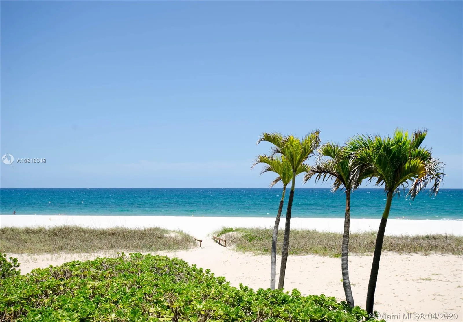 1800 S Ocean Blvd # 1405, Lauderdale By The Sea FL 33062