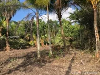 for sale at 20201 SW 396 St, Homestead FL 33034