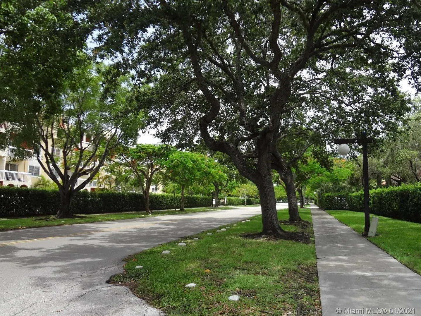 7705 Camino Real # 101, Miami FL 33143