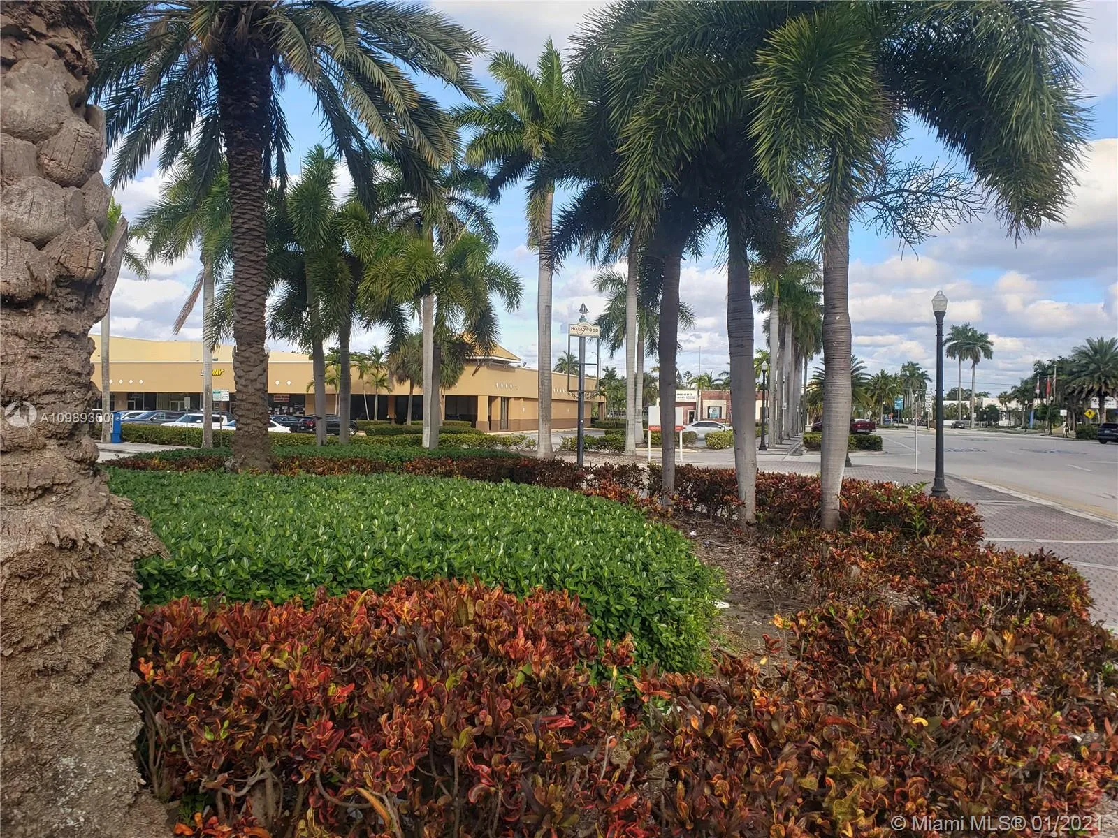 1720 Harrison St # 12D, Hollywood FL 33020