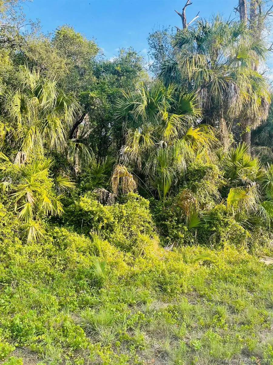 232 Sparkle Dr, La Belle FL 33935