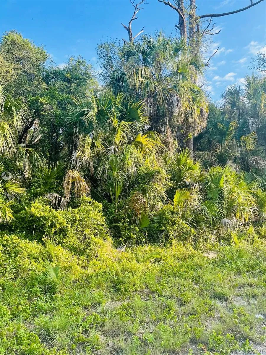 232 Sparkle Dr, La Belle FL 33935