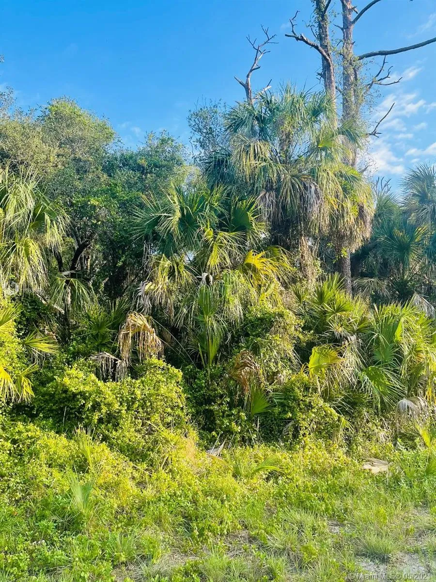 232 Sparkle Dr, La Belle FL 33935