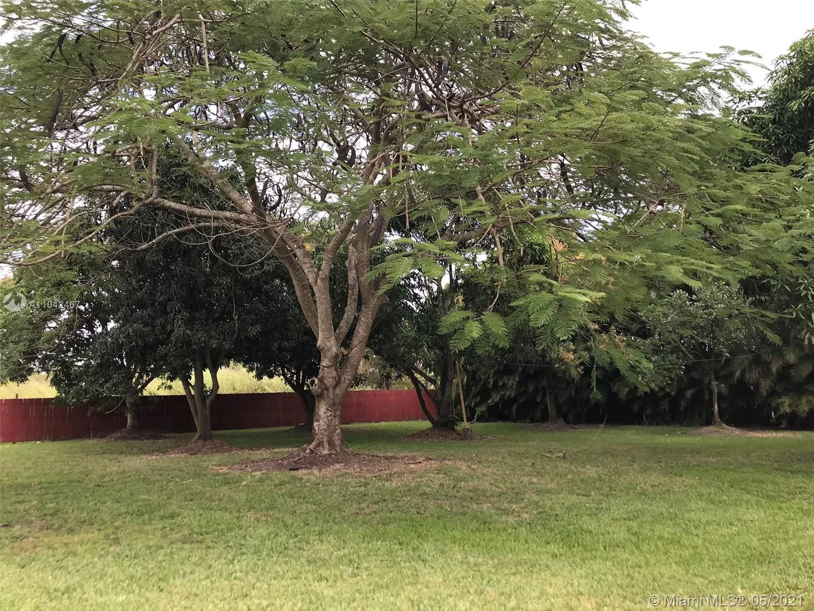 15490 SW 209th Ave, Miami FL 33187