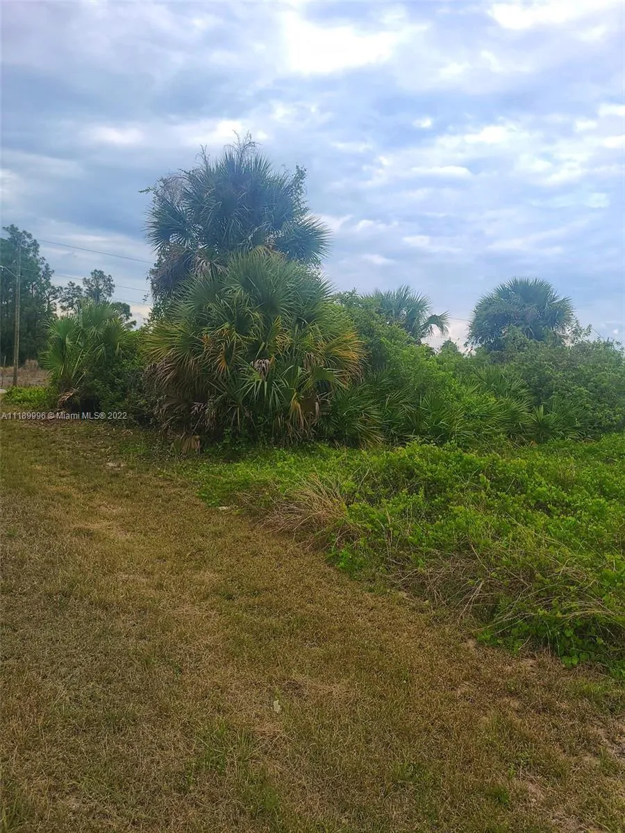 1236 COUNTY ST E, Lehigh Acres FL 33974
