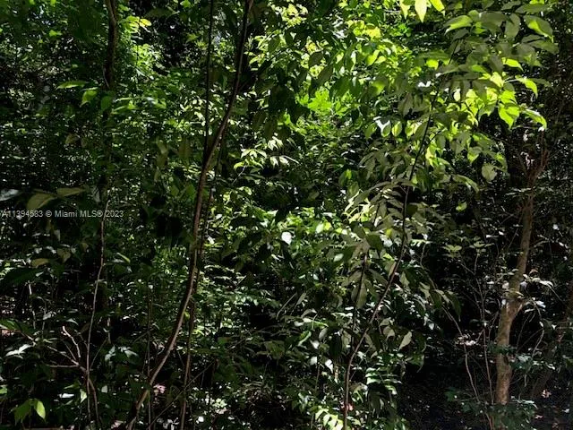 for sale at 419 SE 9th St, Hallandale Beach FL 33009