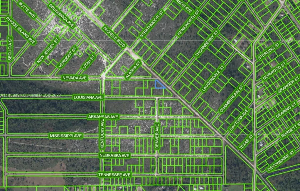 for sale at 536 Nevada Avenue, Lake Placid FL 33852