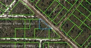 536 Nevada Avenue, Lake Placid FL 33852