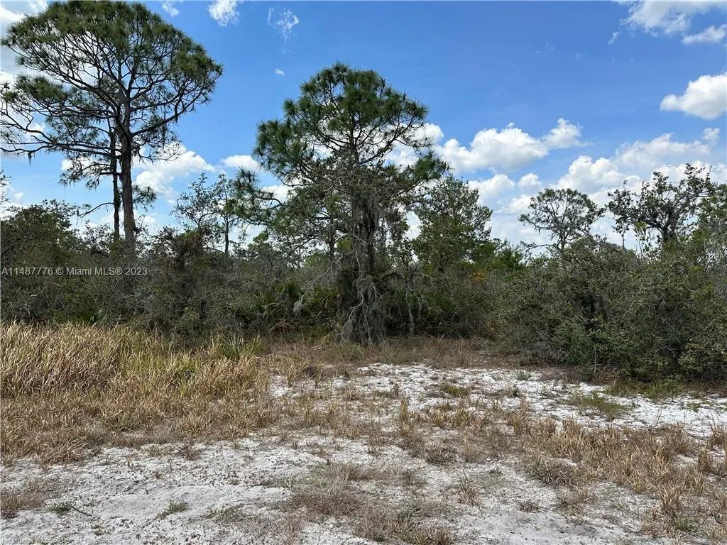 5128 Coruna Avenue, Sebring FL 33872