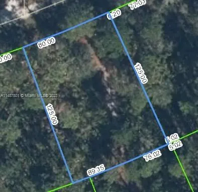 3238 Dean Avenue, Lake Placid FL 33852