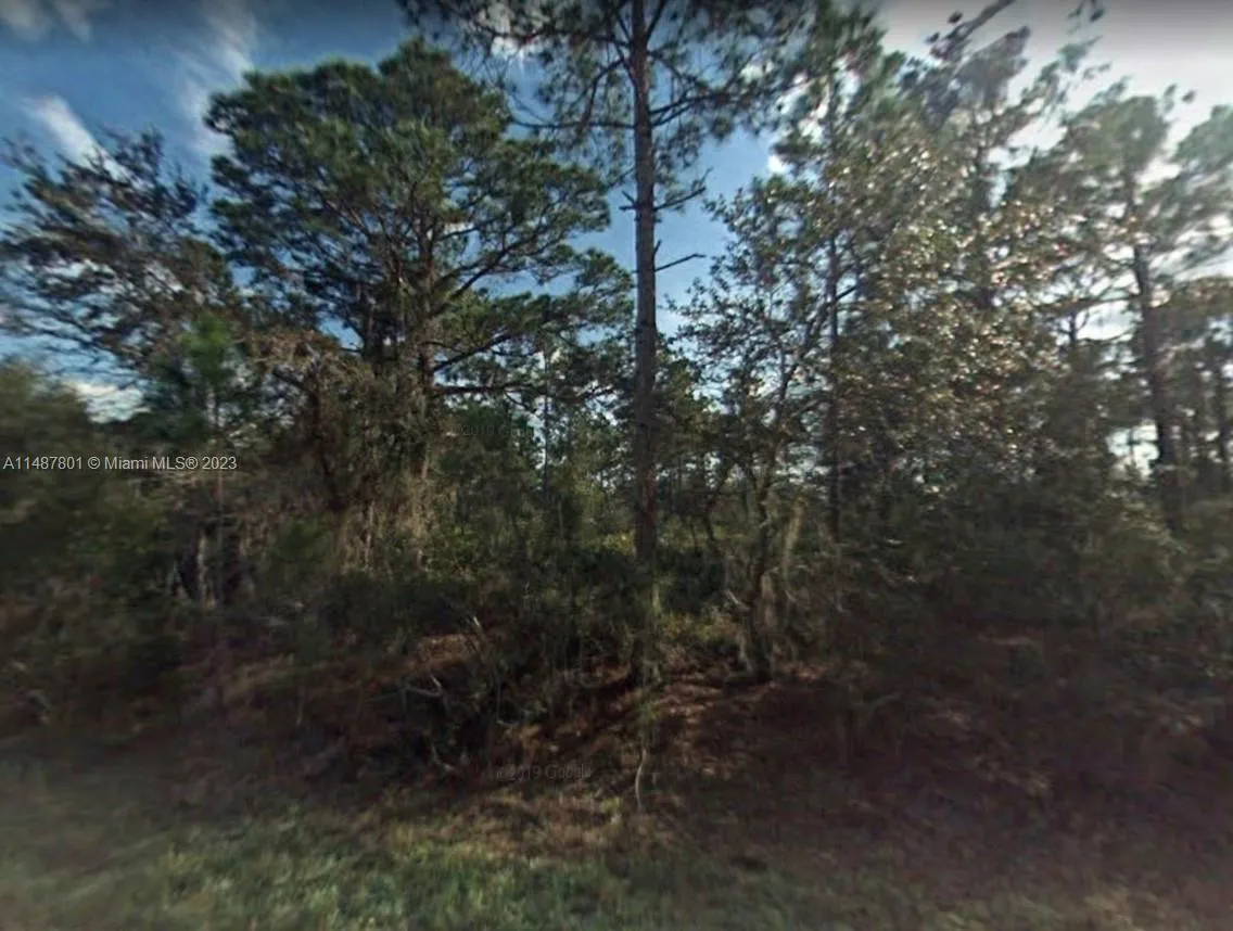 3238 Dean Avenue, Lake Placid FL 33852