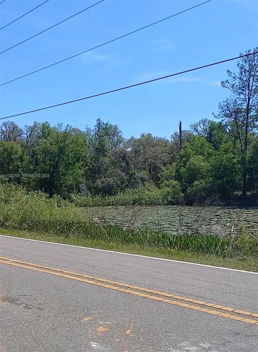 0 Richardson Blvd, Other City - In The State Of Florida FL 33597
