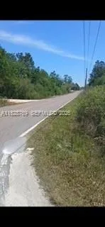 0 Richardson Blvd, Other City - In The State Of Florida FL 33597