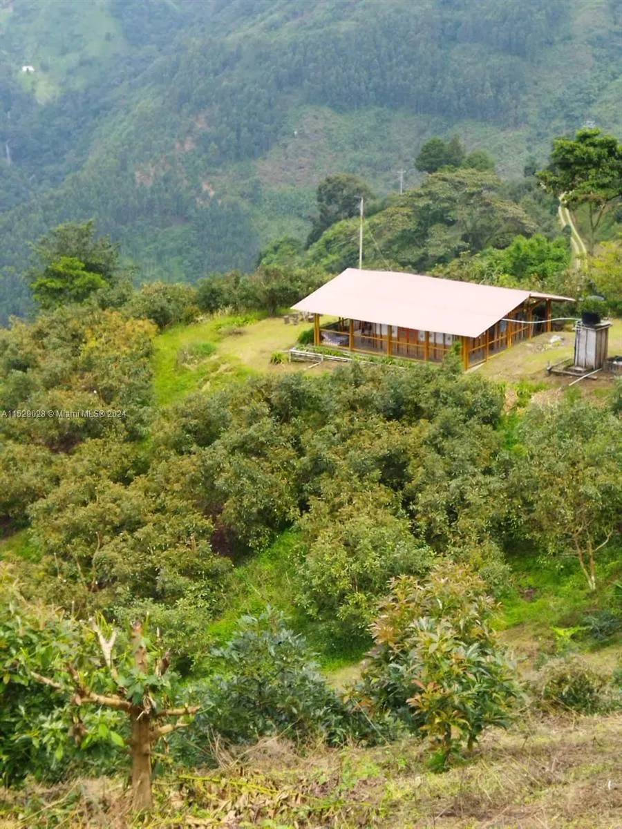 for sale at Armenia-Quindio, FL