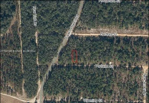 for sale at 338 Portland St, Other City - In The State Of Florida FL 32640