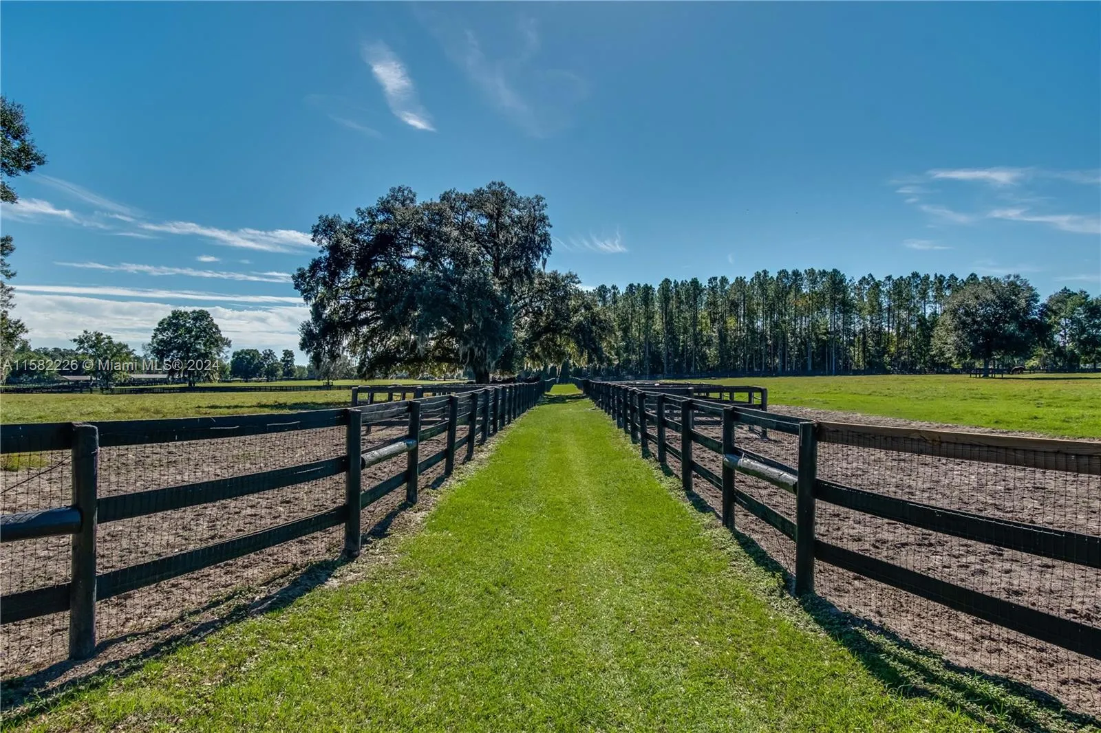 7787 NW 150TH AVE, Ocala FL 32668