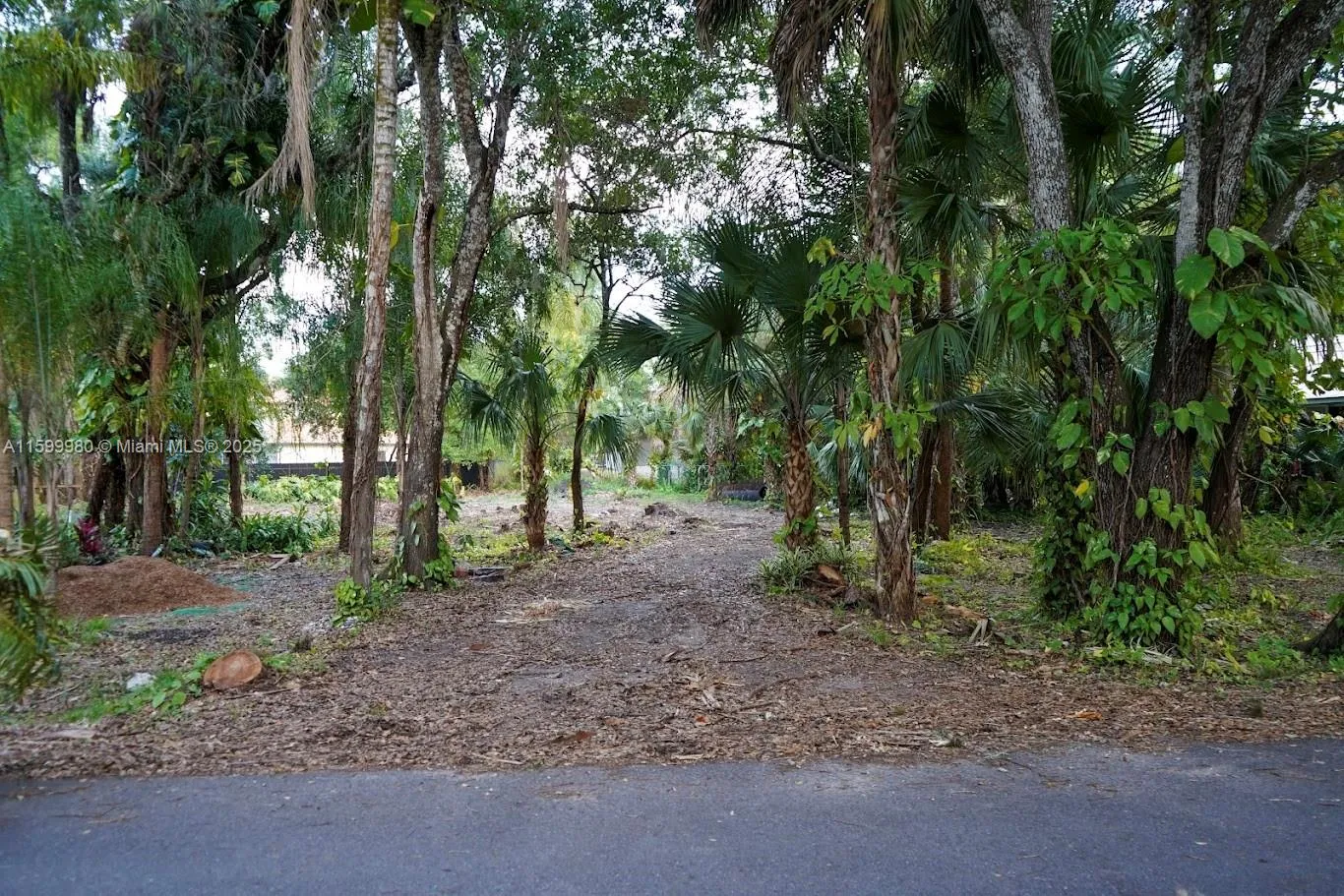 385 Caloosa Dr, La Belle FL 33935