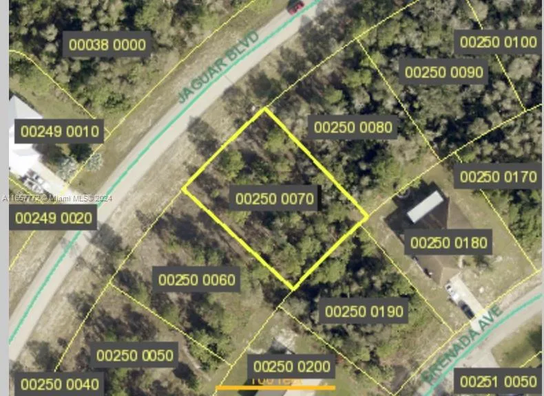 Jaguar BLVD, Lehigh Acres FL 33974