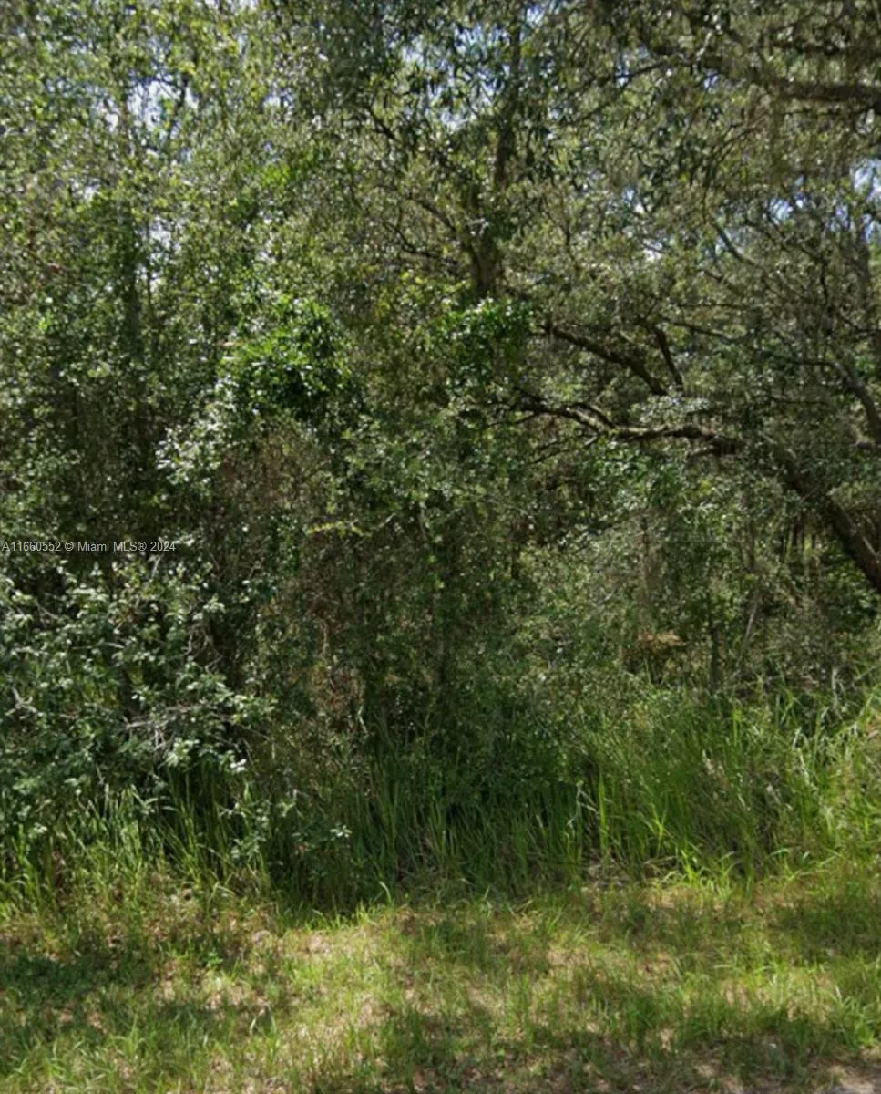 unknown Pecan Radial, Ocala FL 34472