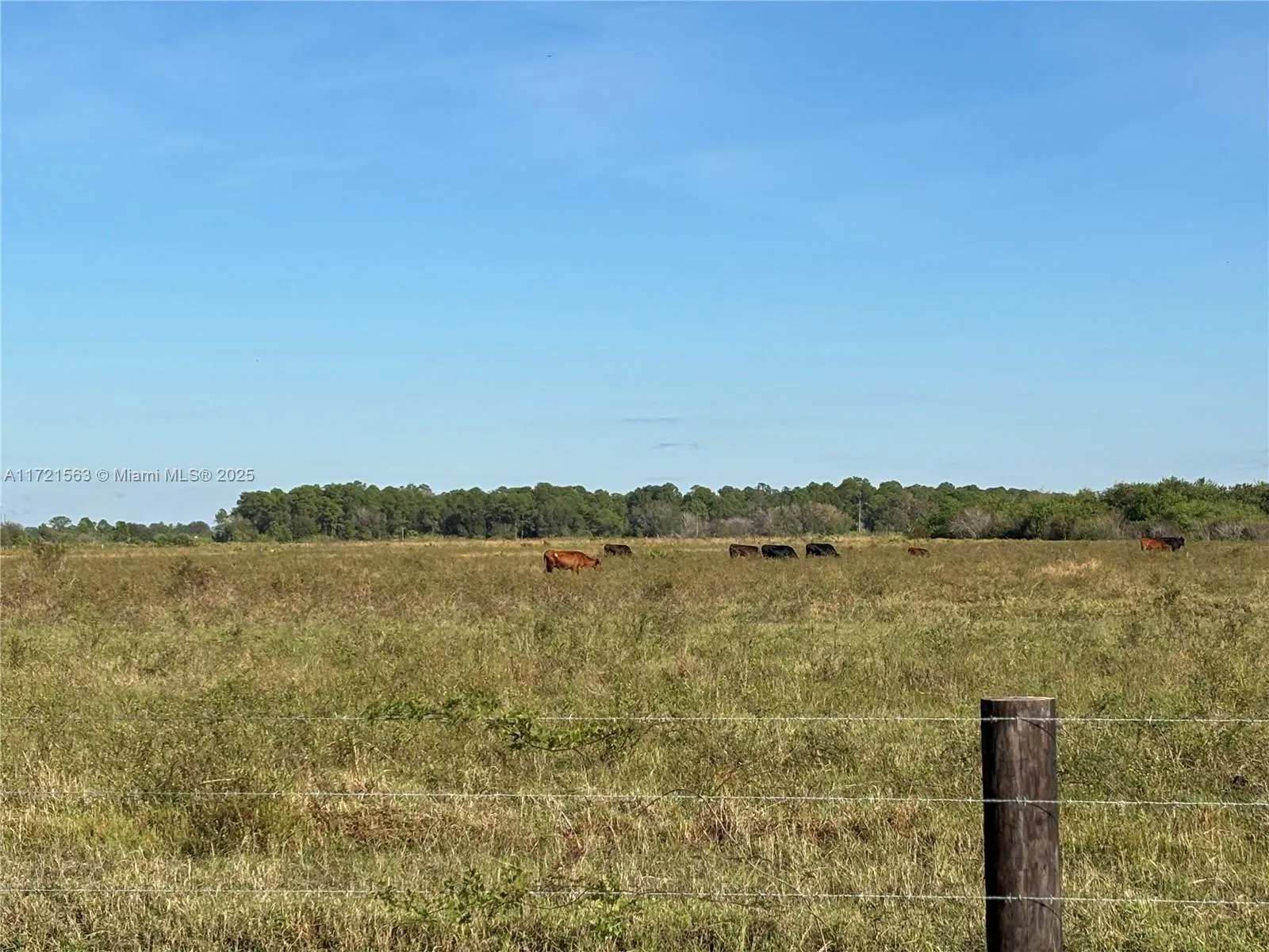2588 Christopher Lane, Clewiston FL 33440