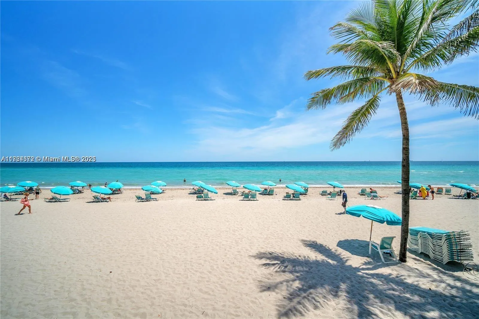 2501 S Ocean Dr, Hollywood FL 33019