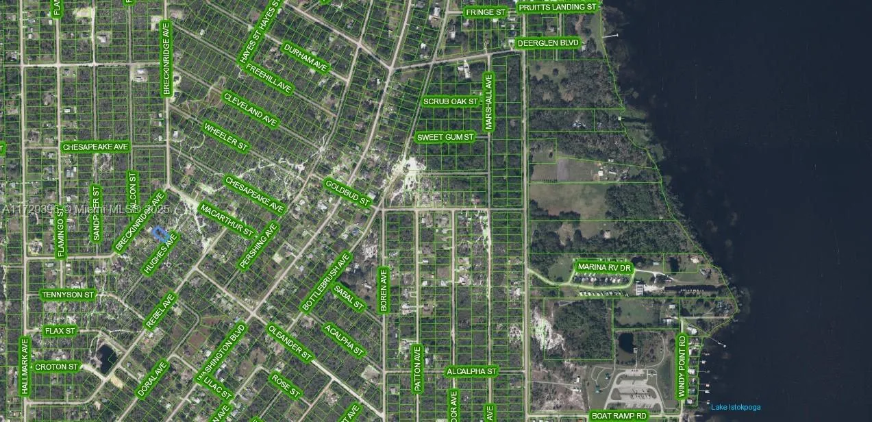 1066 Hughes Avenue, Lake Placid FL 33852