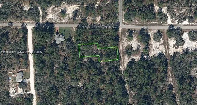 for sale at 405 Blue Horizon, Lake Placid FL 33852
