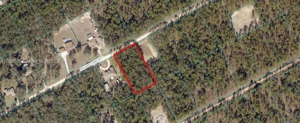 342 Gloaming Drive, Lake Placid FL 33852