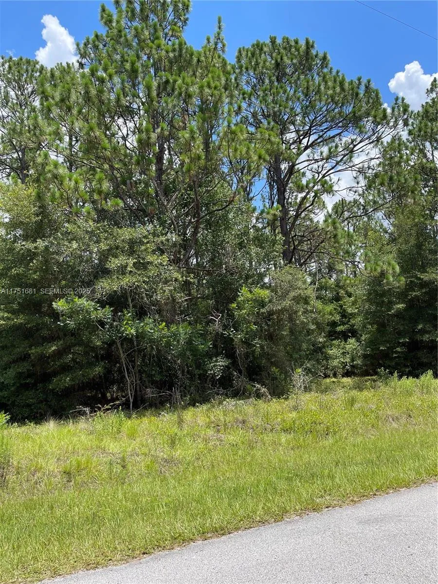 tbd SW 59th LN, Other City - In The State Of Florida FL 34431