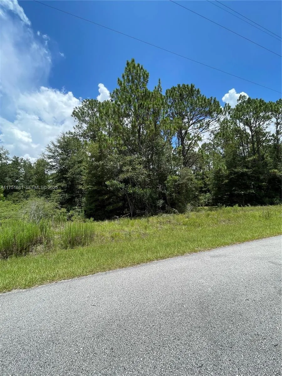 tbd SW 59th LN, Other City - In The State Of Florida FL 34431