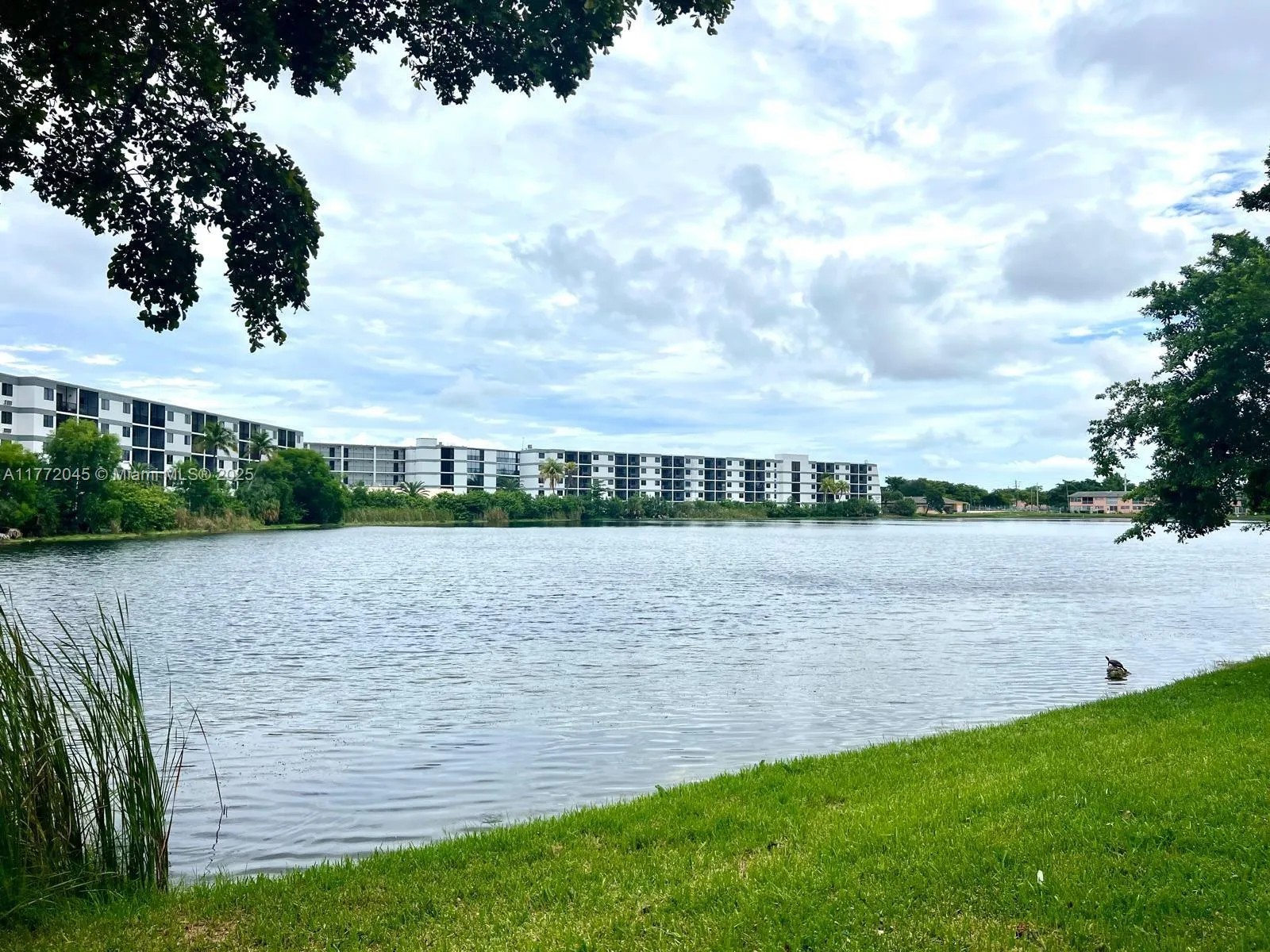 19305 NE 2nd Ave # 2302, Miami FL 33179