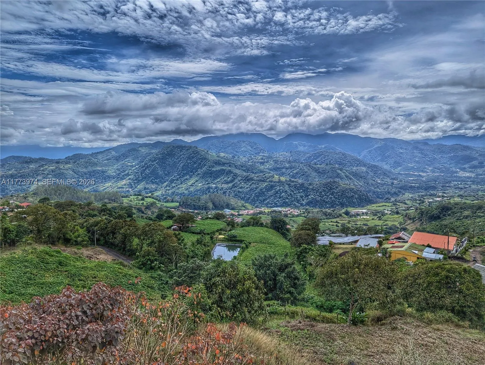 6 Cervantes Cartago Costa Rica, FL 248410