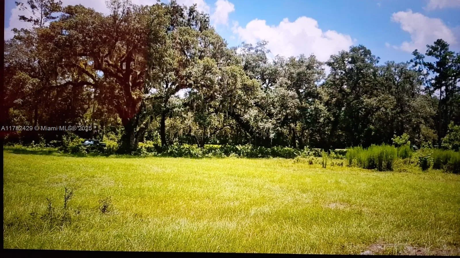 3450 se hwy 464c, Ocala FL 32179