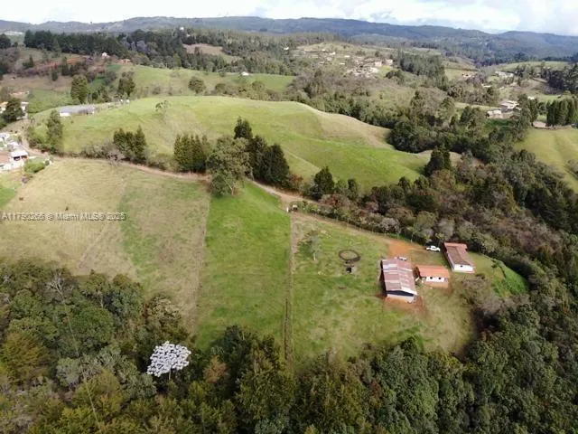 Vereda Brizuela, Other Country - Not In USA FL 054050