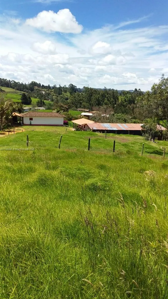 Vereda Brizuela, Other Country - Not In USA FL 054050