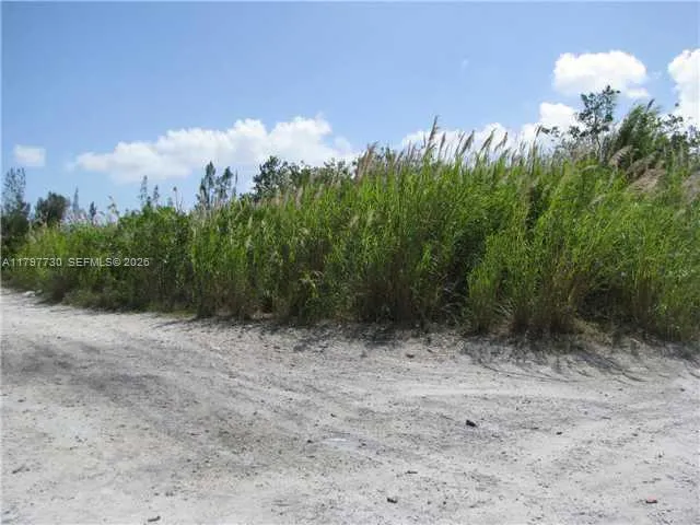 SW 137 Ave & 360 St, Florida City FL 33035