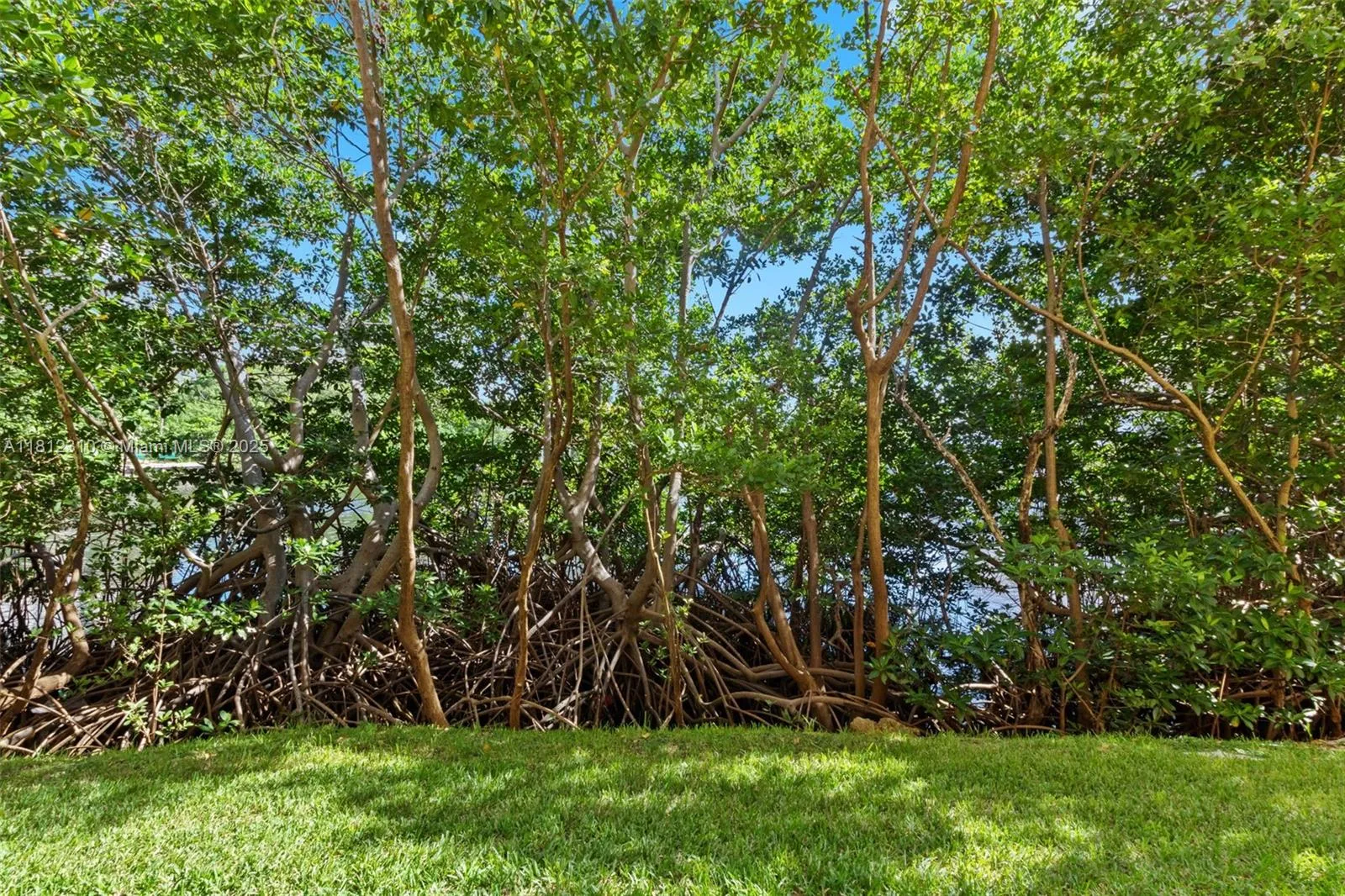 19999 E Country Club Dr # 1106, Aventura FL 33180