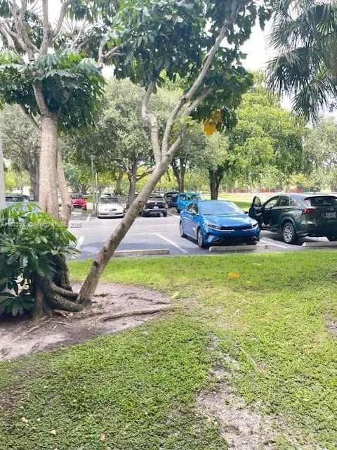 3100 W Rolling Hills Cir # 101, Davie FL 33328