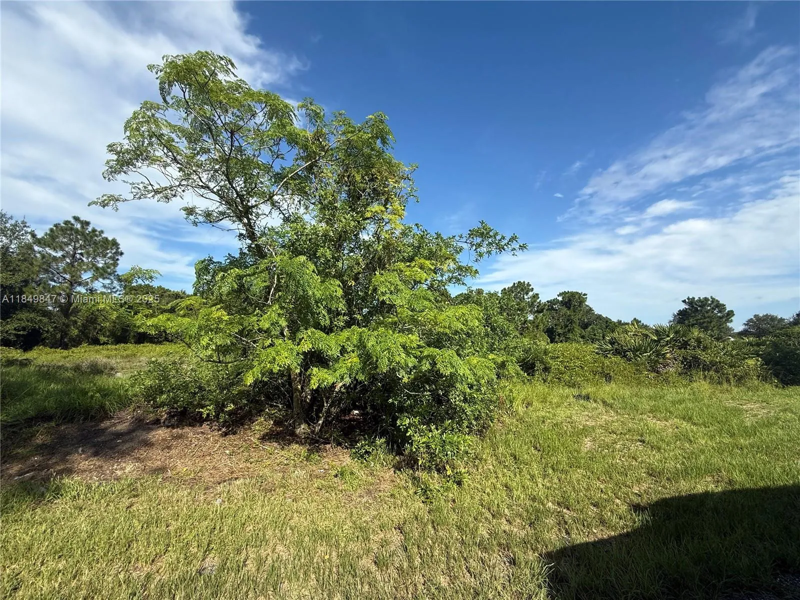 for sale at 370 N Palomino St, Clewiston FL 33440