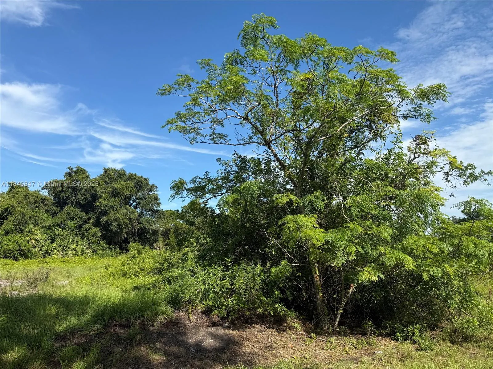 370 N Palomino St, Clewiston FL 33440