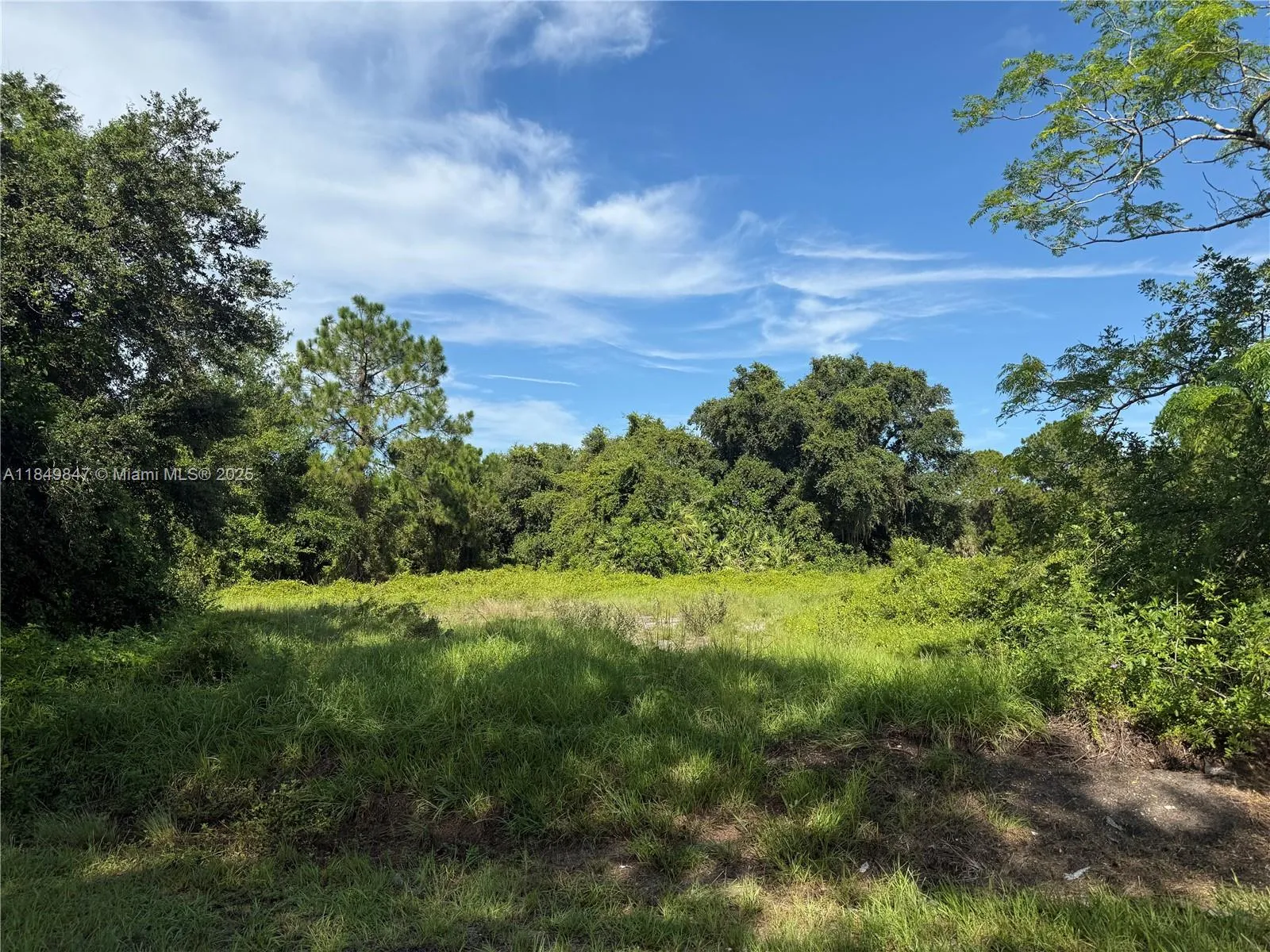 370 N Palomino St, Clewiston FL 33440