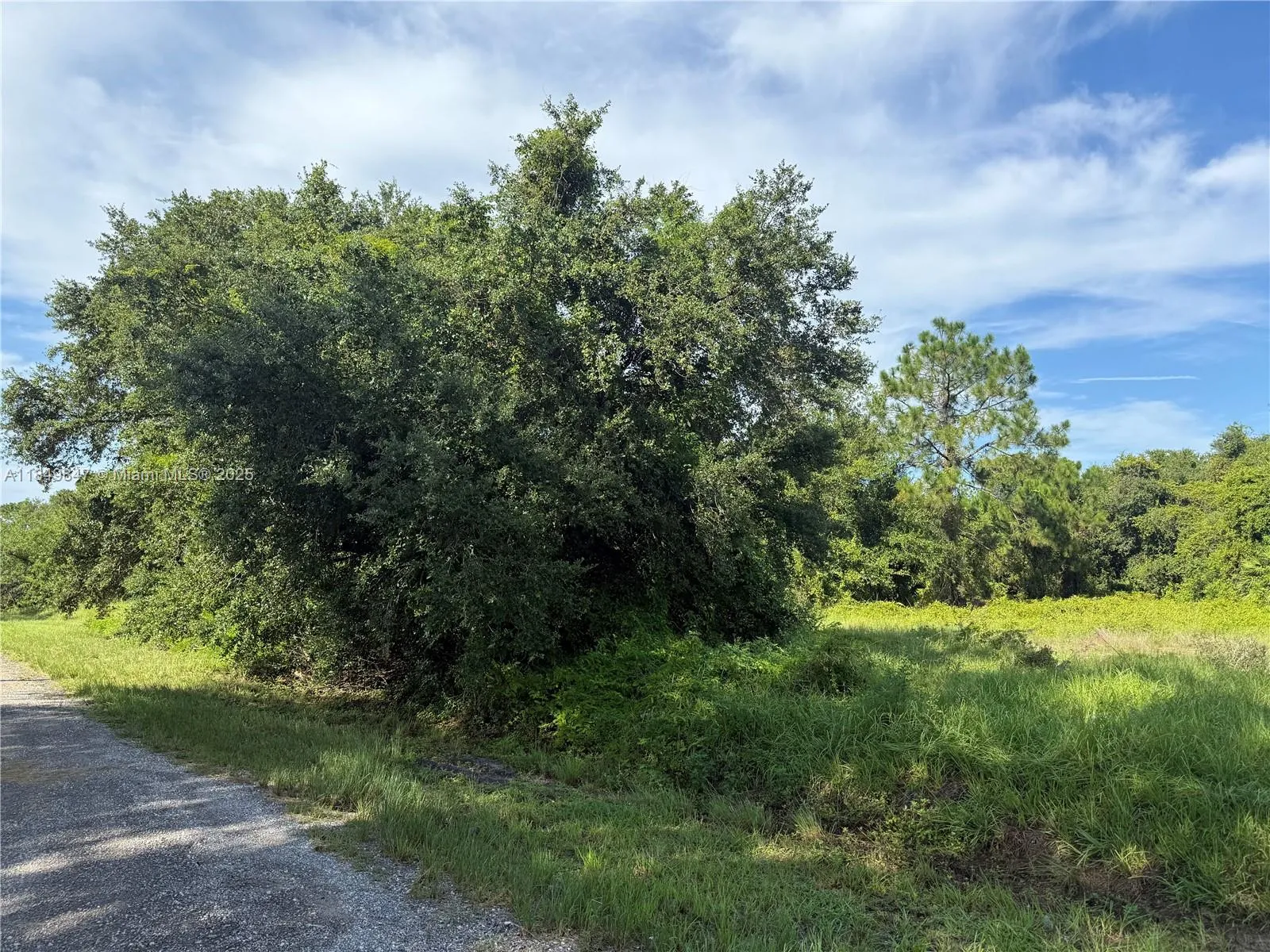 370 N Palomino St, Clewiston FL 33440