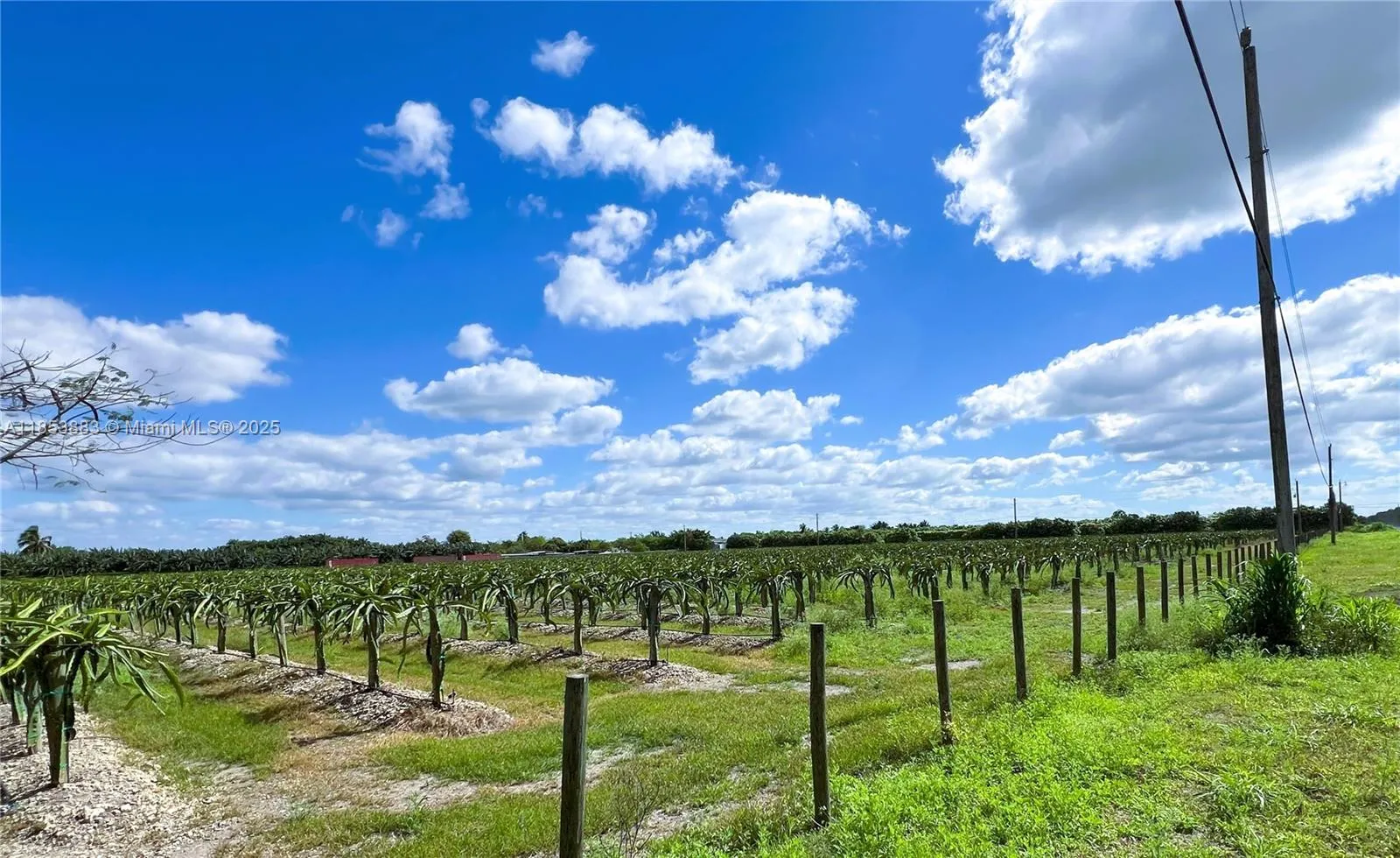 for sale at 152xx SW 197th Ave, Miami FL 33196