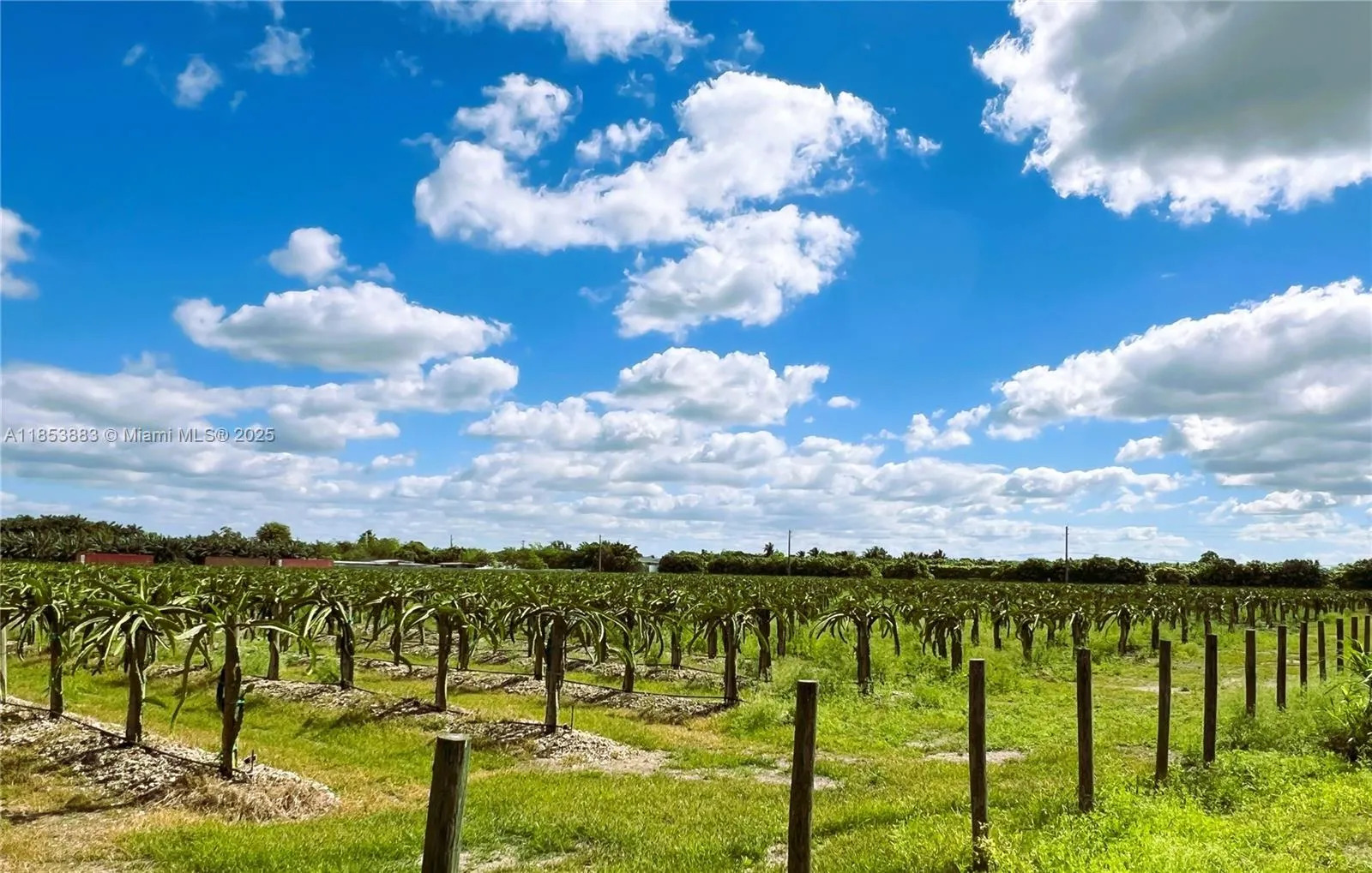 152xx SW 197th Ave, Miami FL 33196