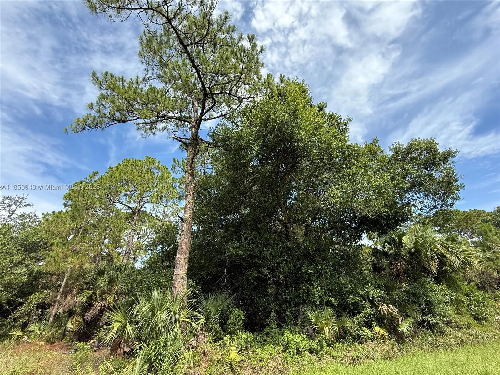 for sale at 250 S Romero St, Clewiston FL 33440