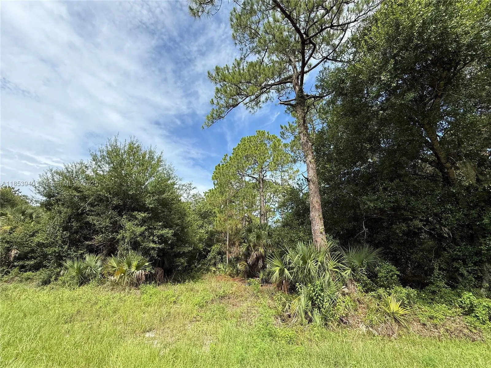 250 S Romero St, Clewiston FL 33440