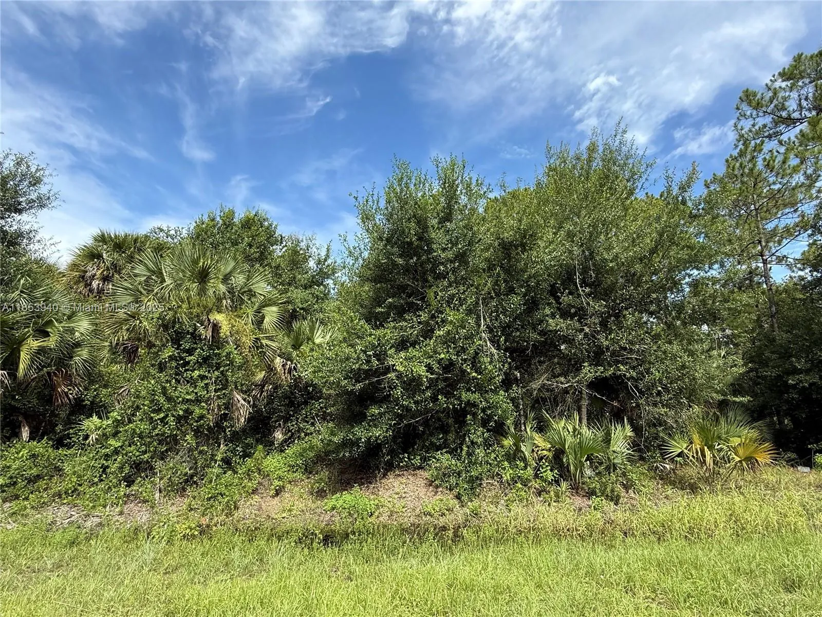 250 S Romero St, Clewiston FL 33440