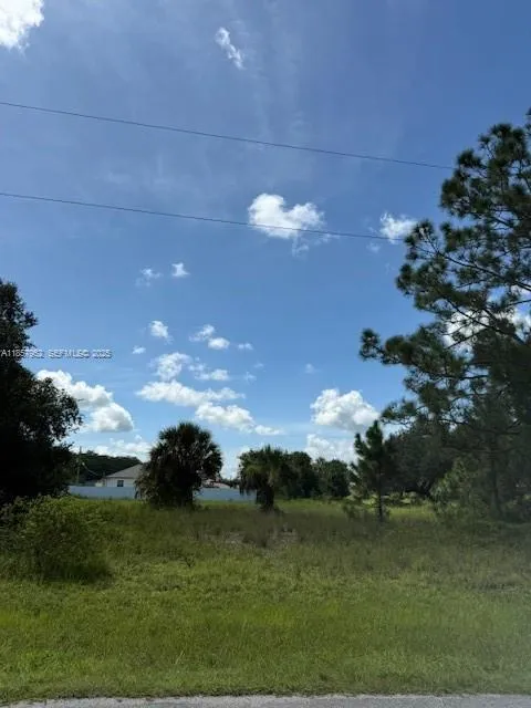 1345 Jabara Cir, La Belle FL 33935