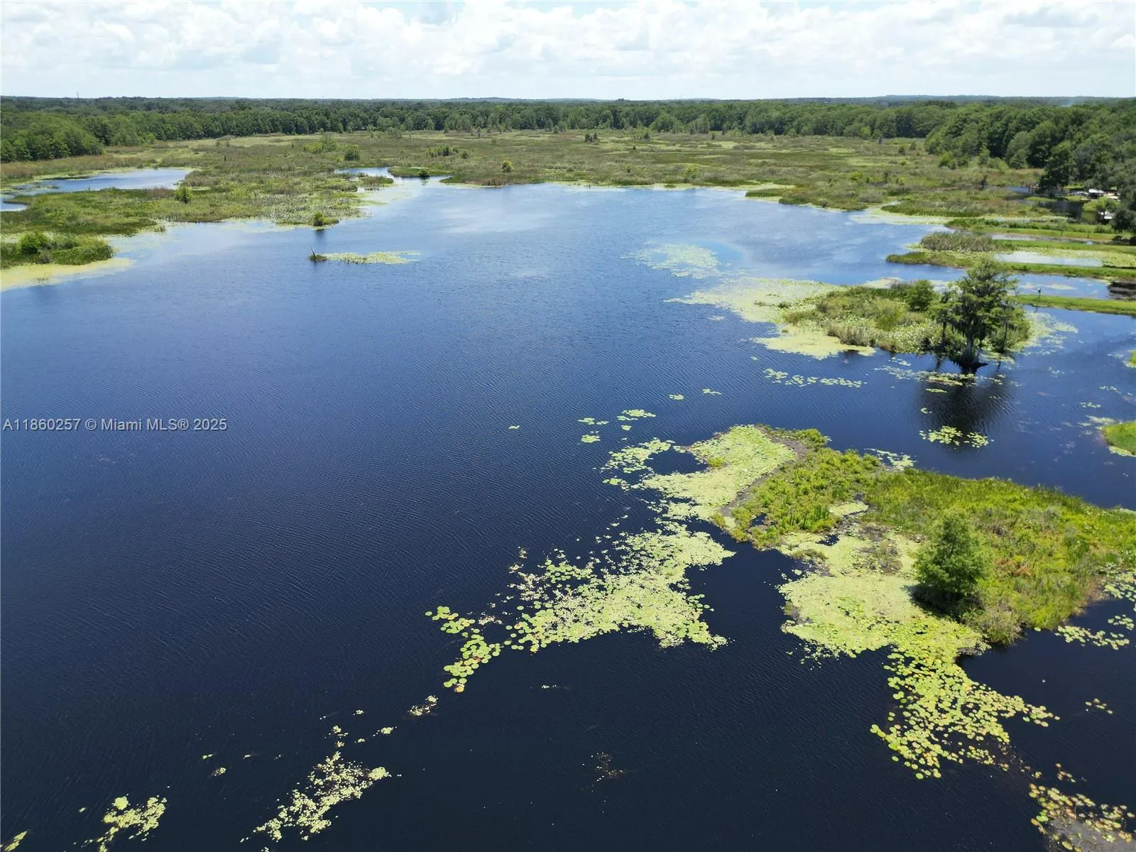8781 S LAKESHORE DRIVE FLORAL CITY, Other City - In The State Of Florida FL 34436