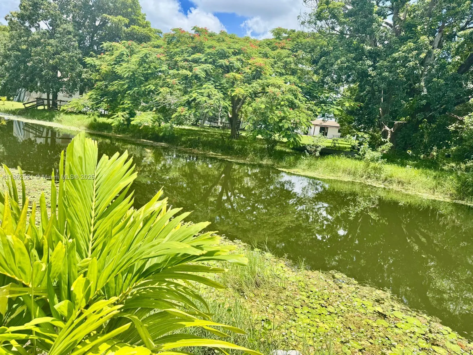 5960 SW 190th Ave, Southwest Ranches FL 33332